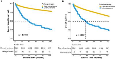 Clinicopathological Characteristics and Survival Outcomes of Primary Renal Leiomyosarcoma